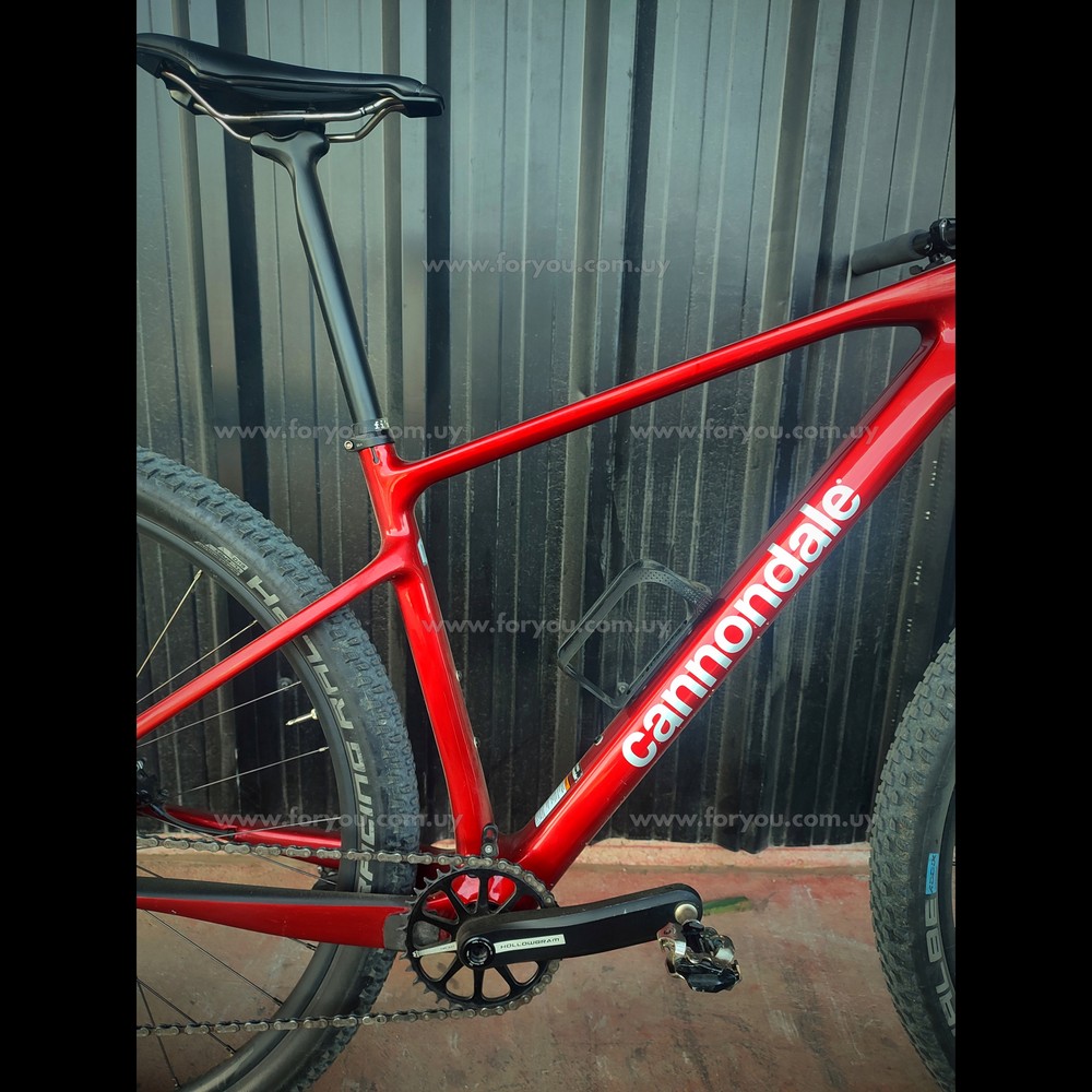 Cannondale roja discount