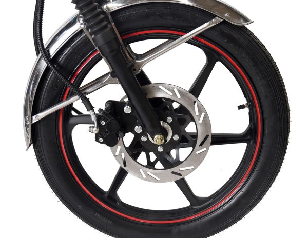 Moto Lifan Tempo FULL 125 cc Verde Oscuro - Imagen 4