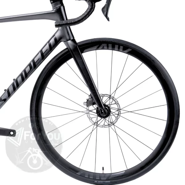 Bicicleta de Ruta Aluminio y Carbono Sunpeed Astro Shimano Tiagra Gris - Imagen 12