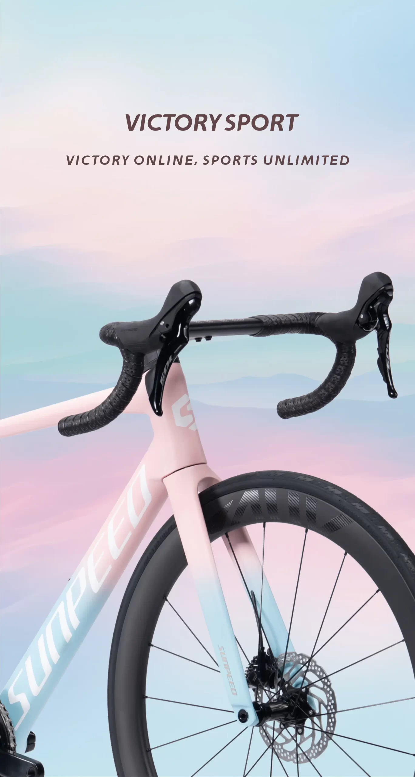 Bicicleta de Ruta Carbono Sunpeed Victory Sport Shimano 105 Marrón Bordó - Imagen 9